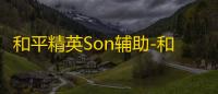 和平精英Son辅助-和平精英PC模拟器Son工具多功能版